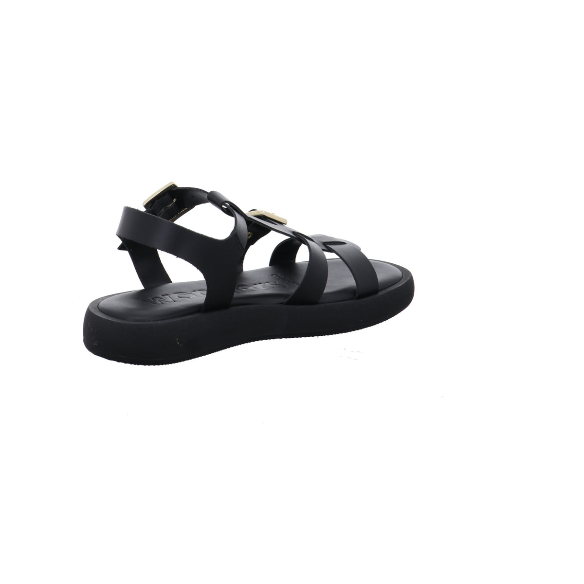 Wonders | AB-1012-NEGRO