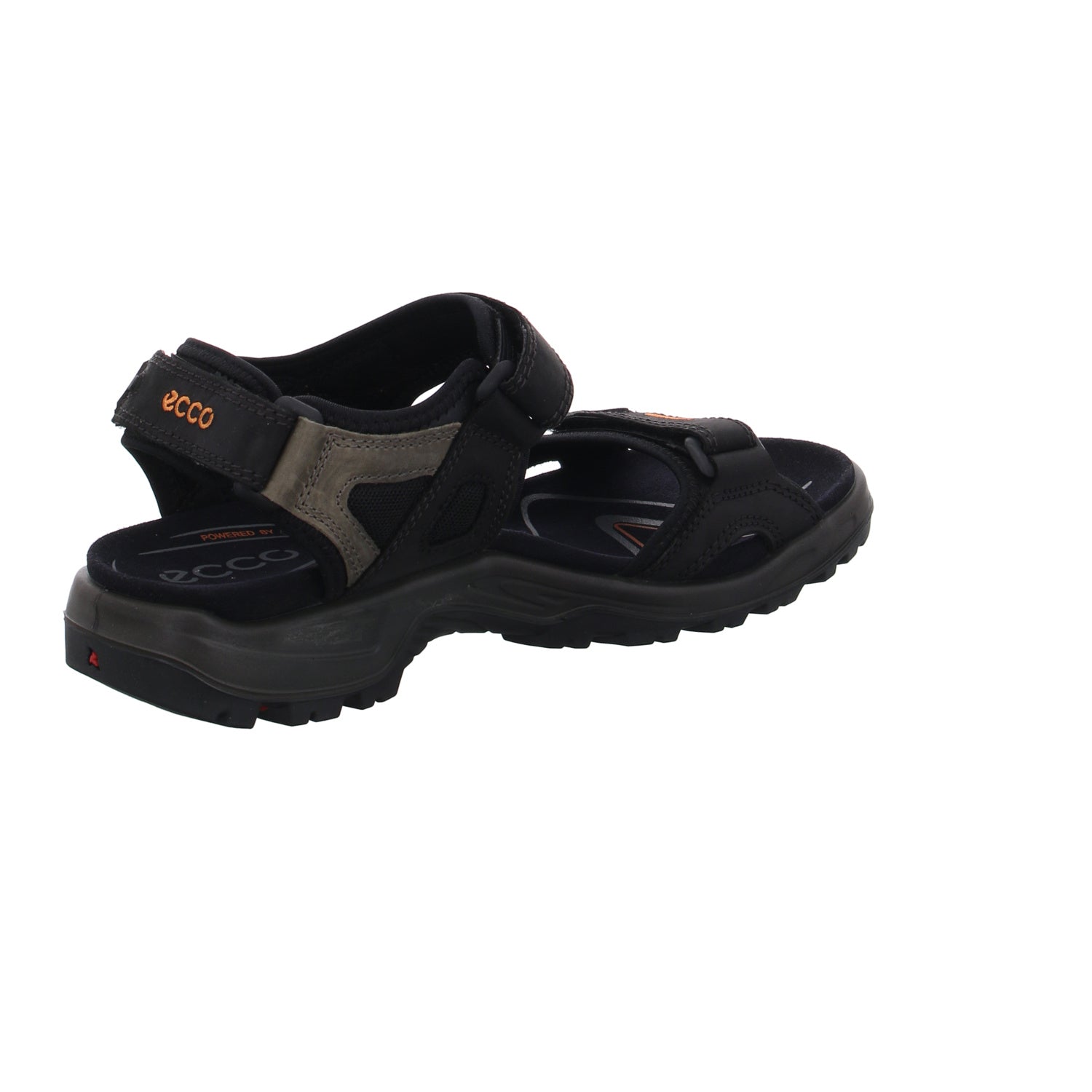 Ecco I 069564/50034