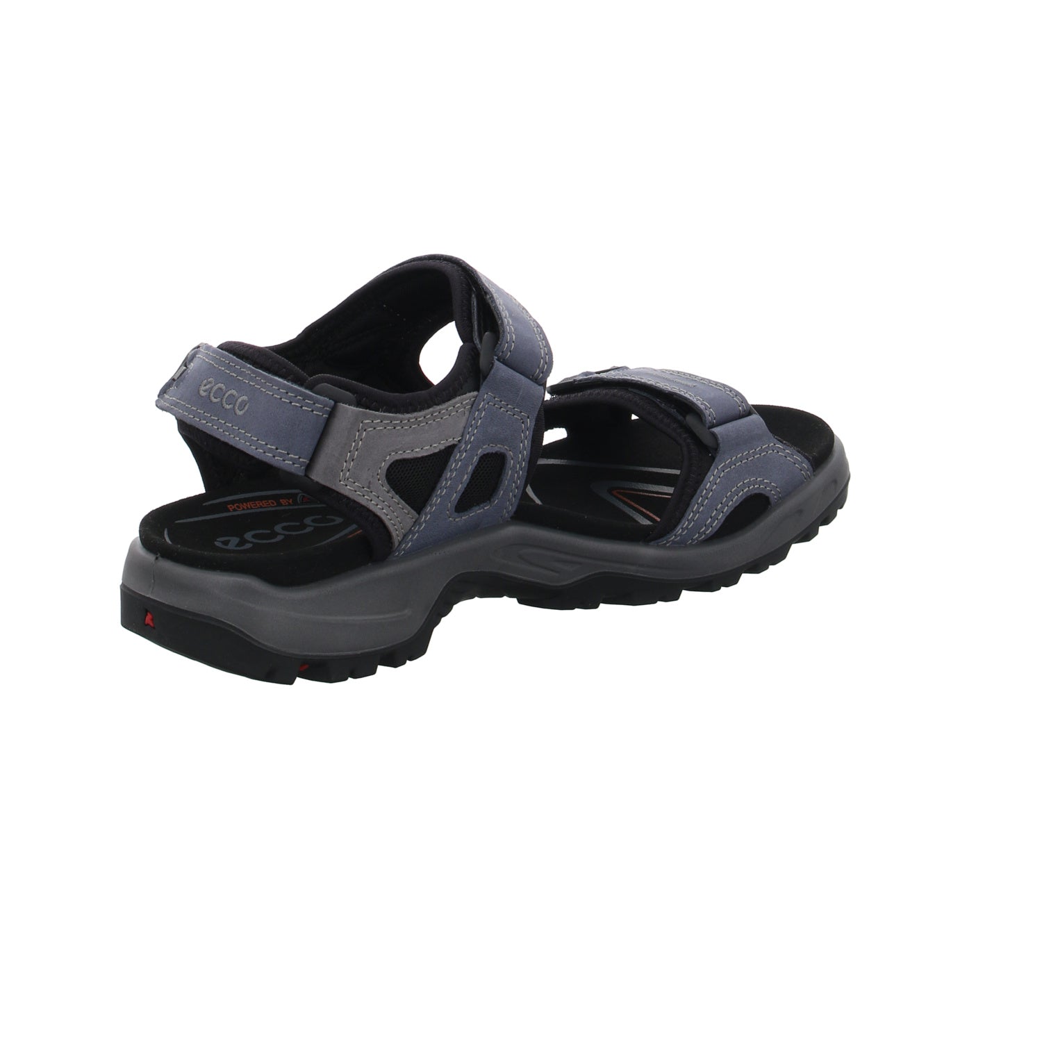 Ecco I 069564/02038