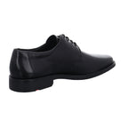 Lloyd | 2550400