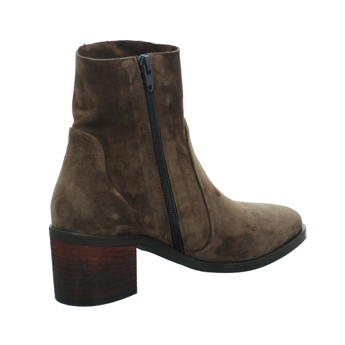 Donna Carolina | 46.005.001 Terra