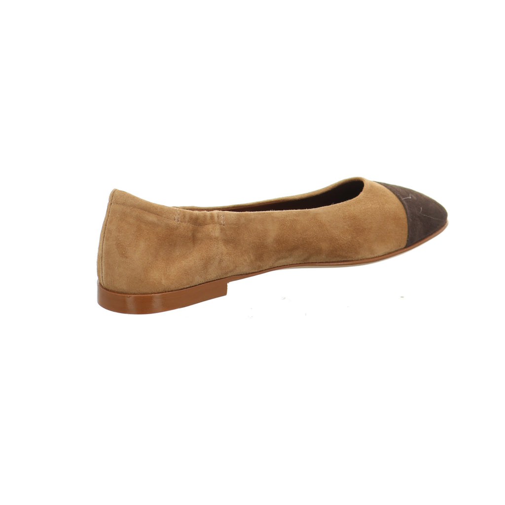 Pomme D'Or | 0833CCCT