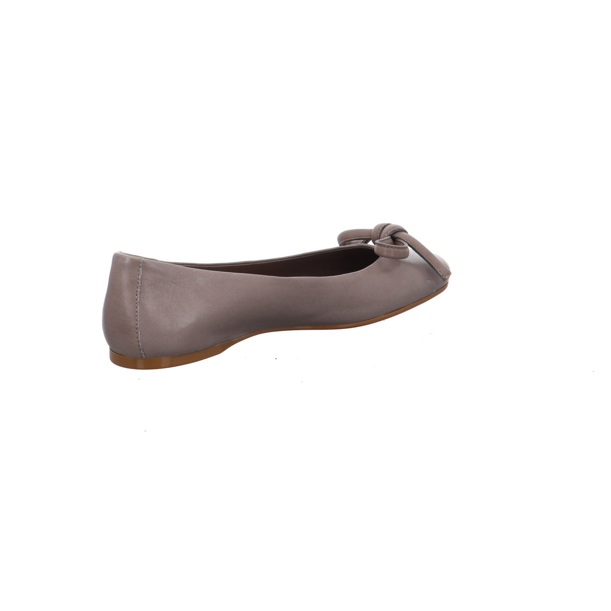 Caiman I C267-TORTORA