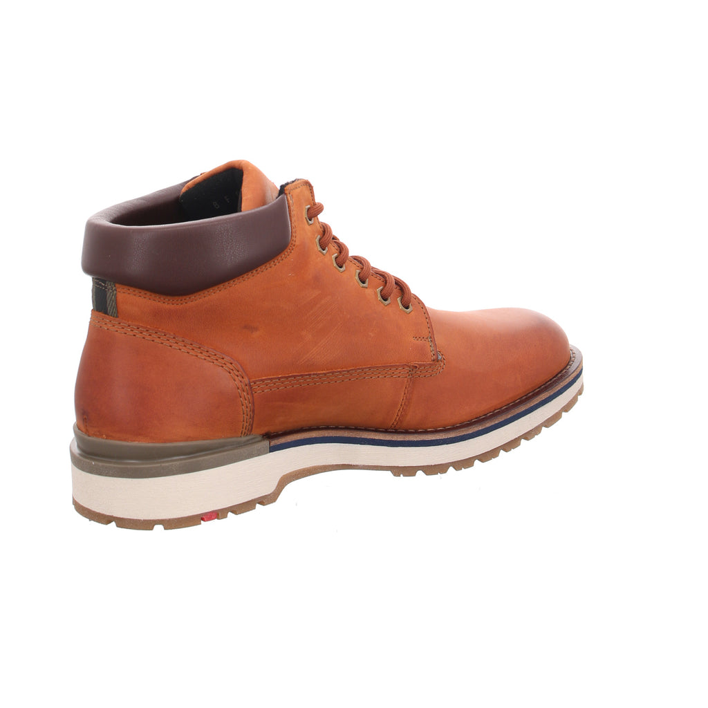 Lloyd | 2451513