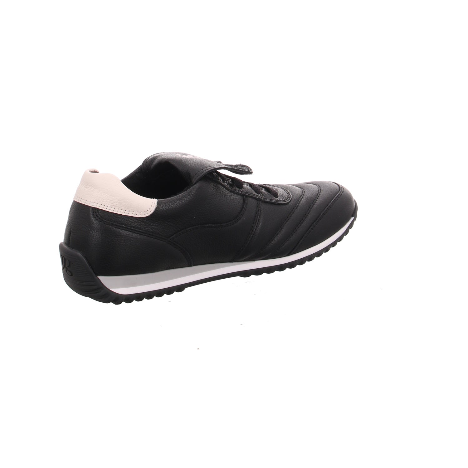 Paul Green | 5355-026