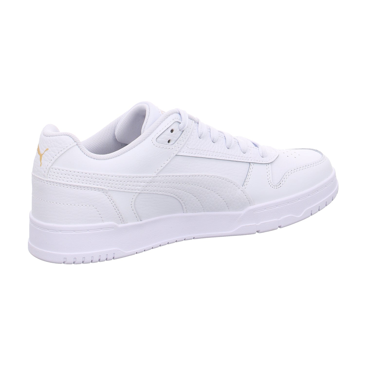 Puma |