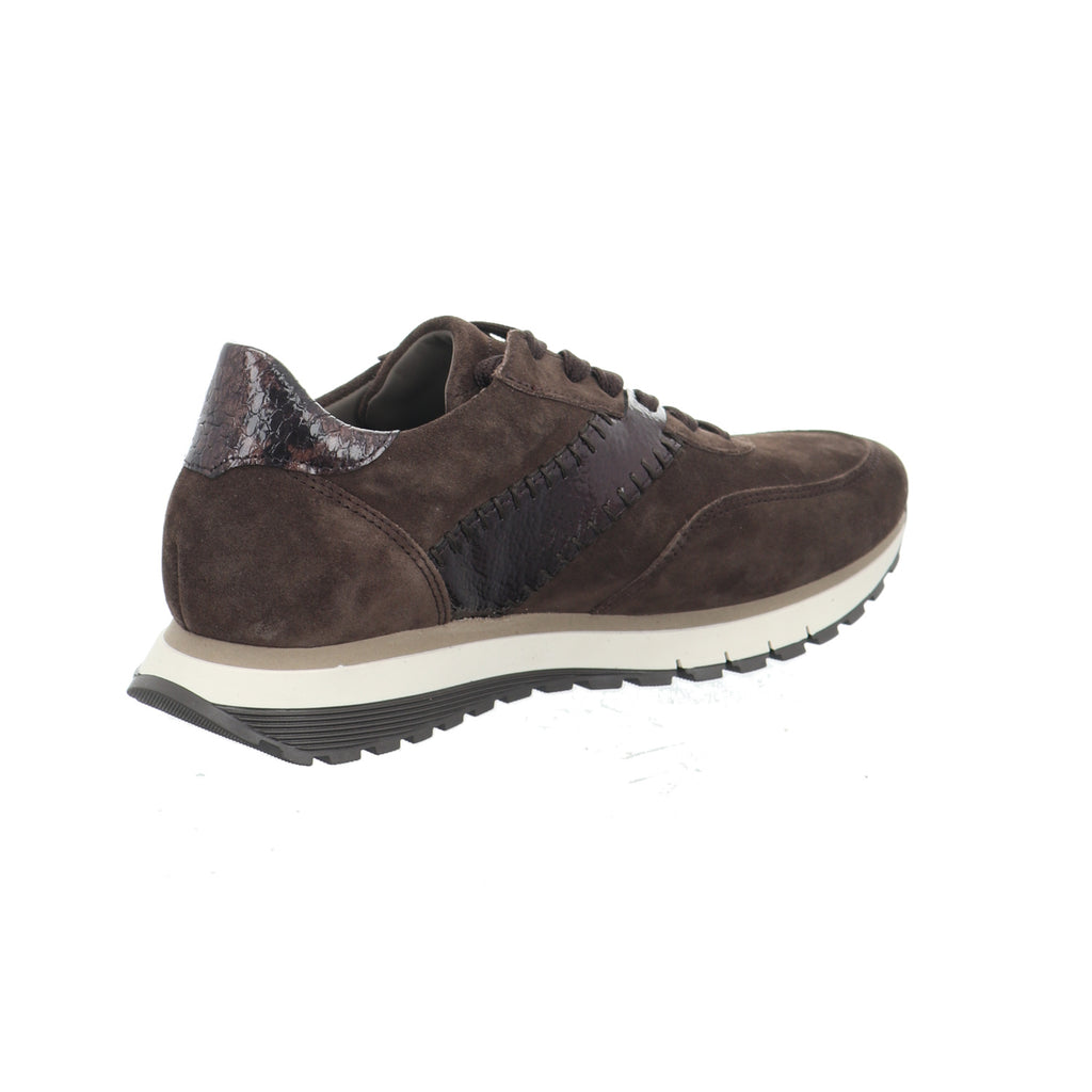 Gabor | 6029.02.002