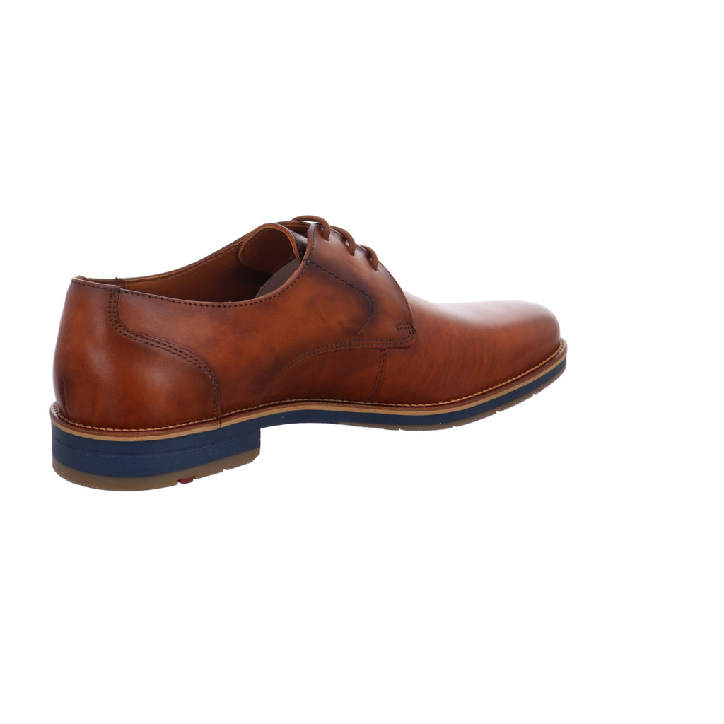 Lloyd | 2550205