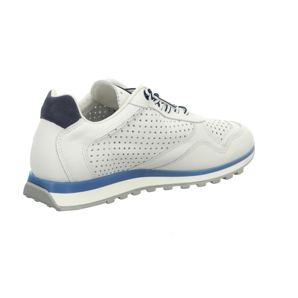 Cetti | C-848 V26-NATURE WHITE NAVY