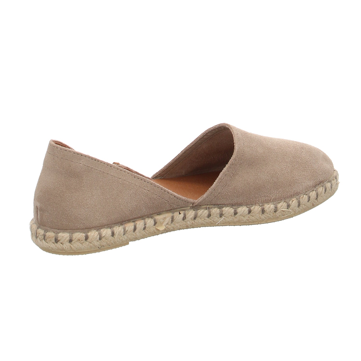 Verbenas | 030058S-0001-0746