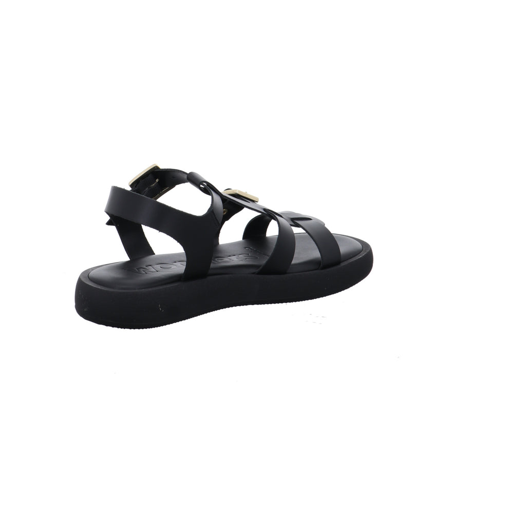 Wonders | AB-1012-NEGRO