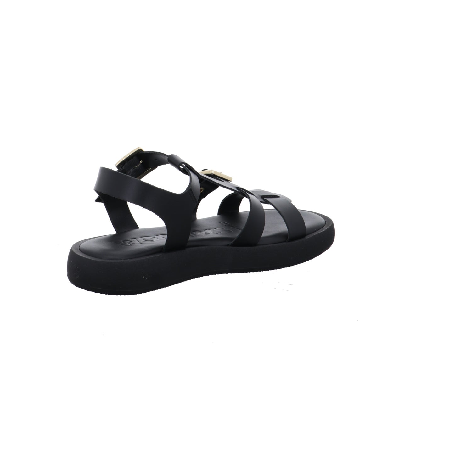 Wonders | AB-1012-NEGRO