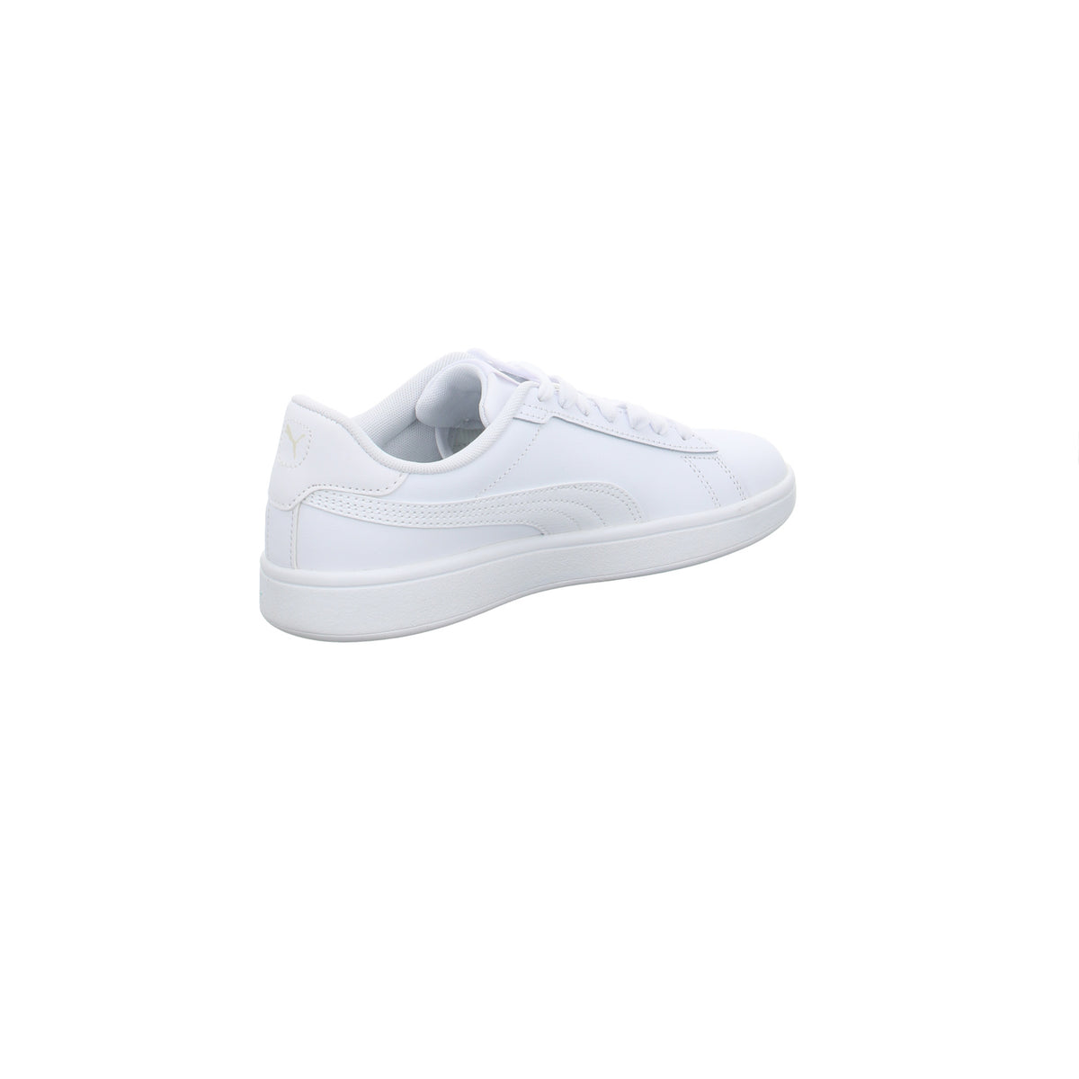 Puma |