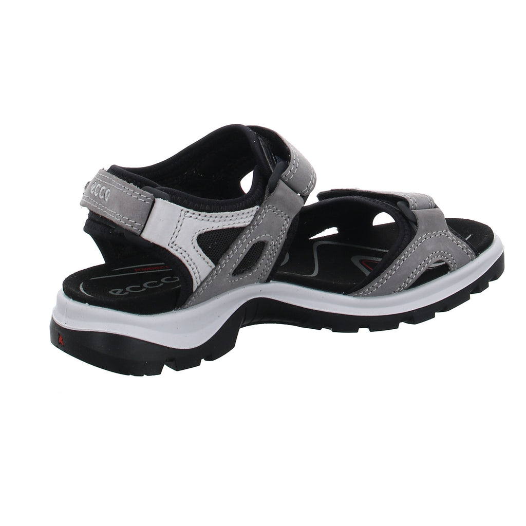 Ecco | 069563/02244