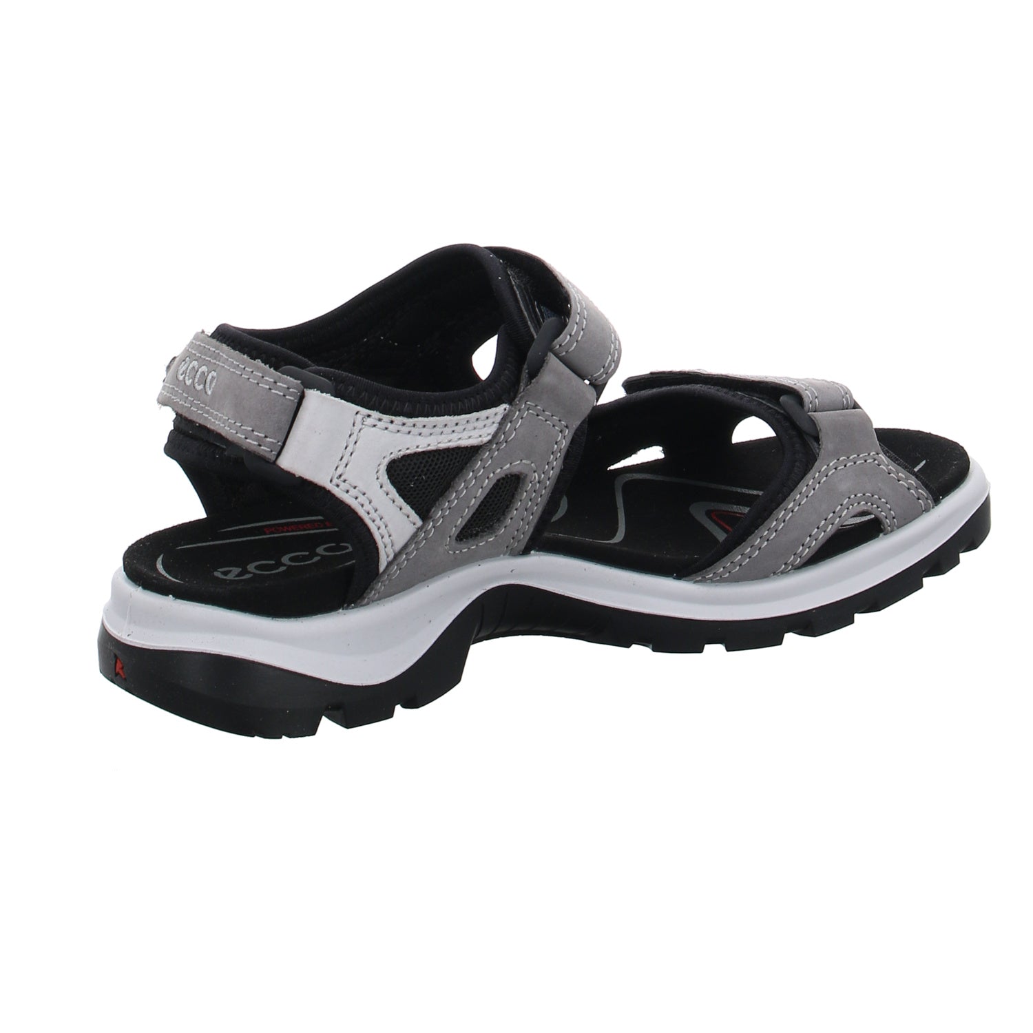 Ecco | 069563/02244