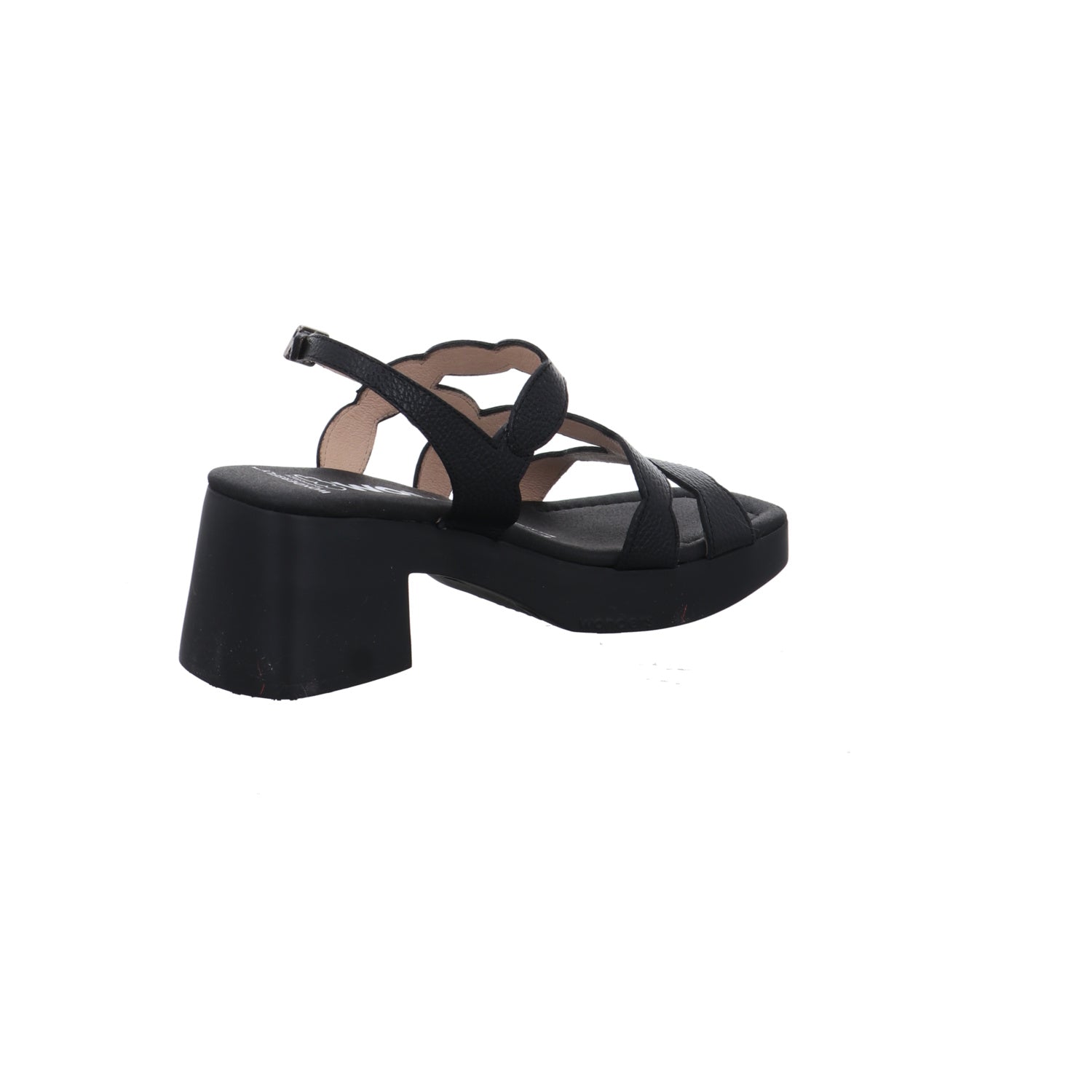 Wonders | D-1020-NEGRO