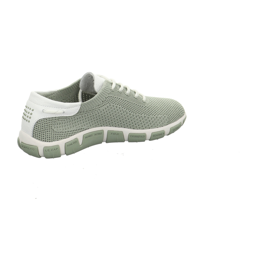 TBS | JAZARIA-Q7395