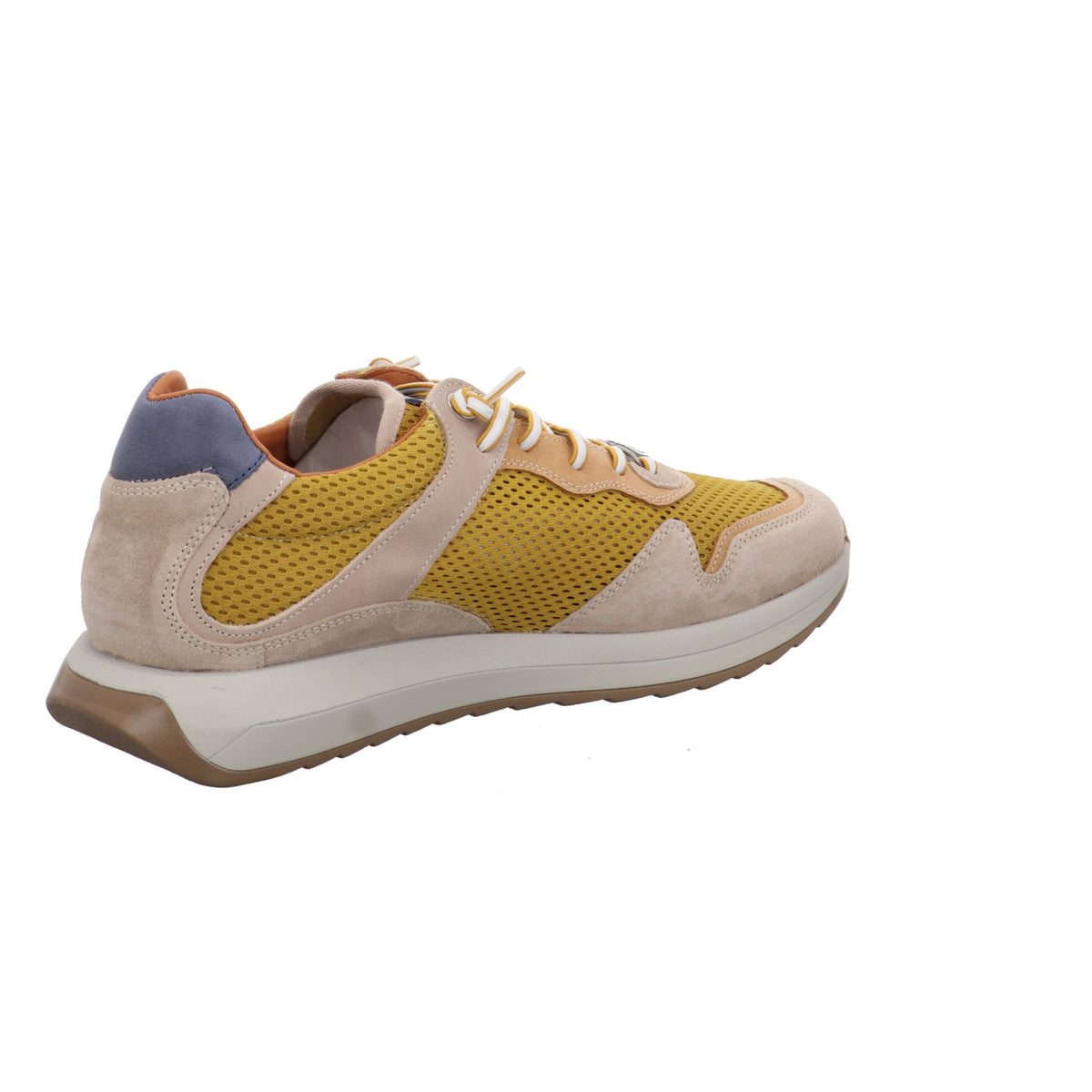 Cetti I C-1382 EXP