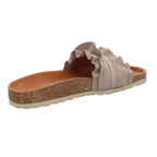 Verbenas | 330062V-0220-746