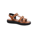 Wonders | AB-1012-CUERO