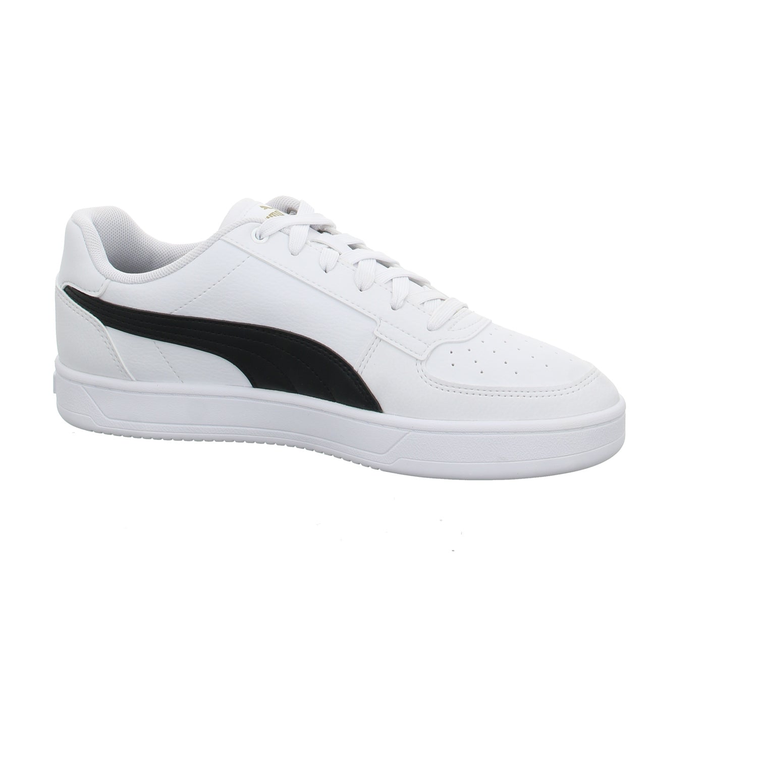 Puma |