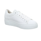 Gabor I 26.460.50