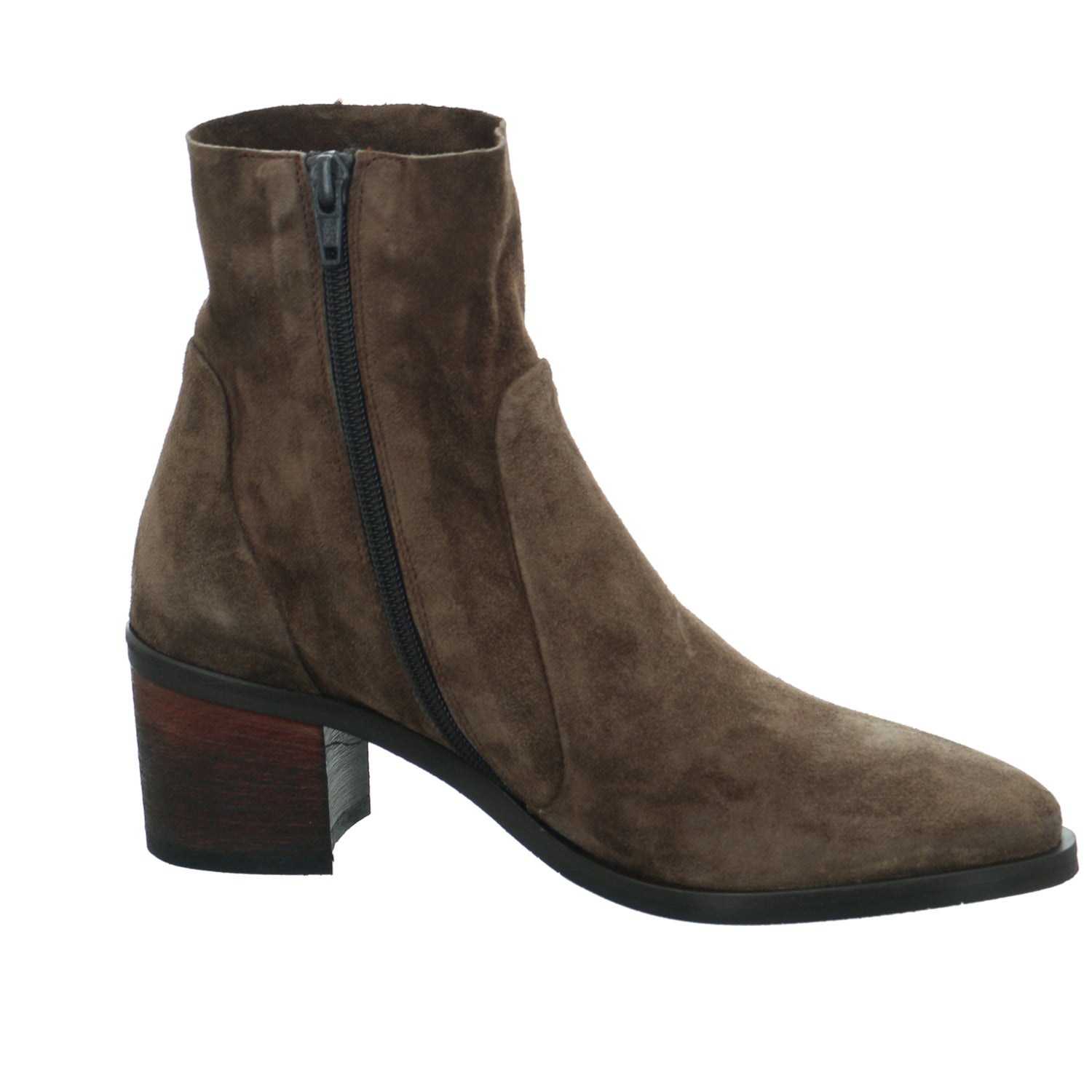 Donna Carolina | 46.005.001 Terra