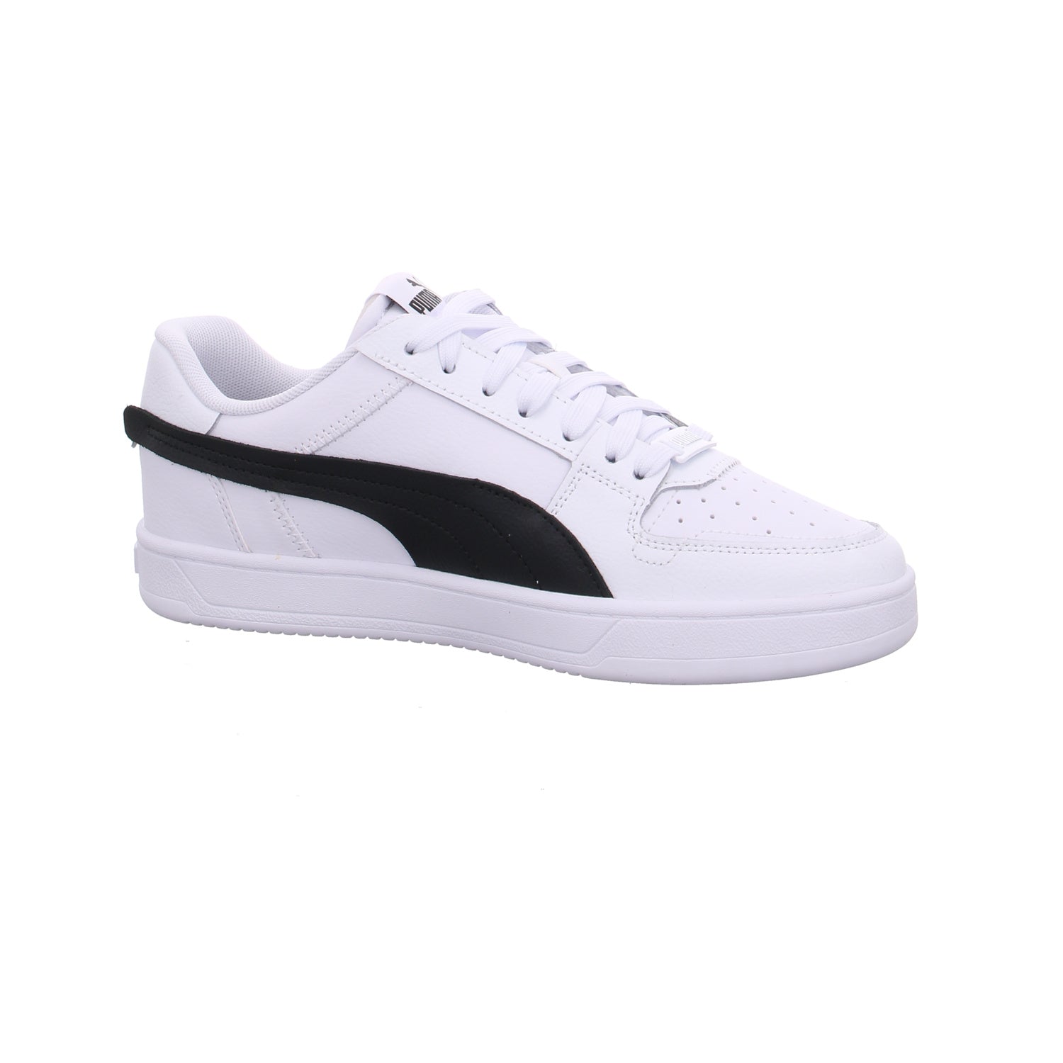 Puma |
