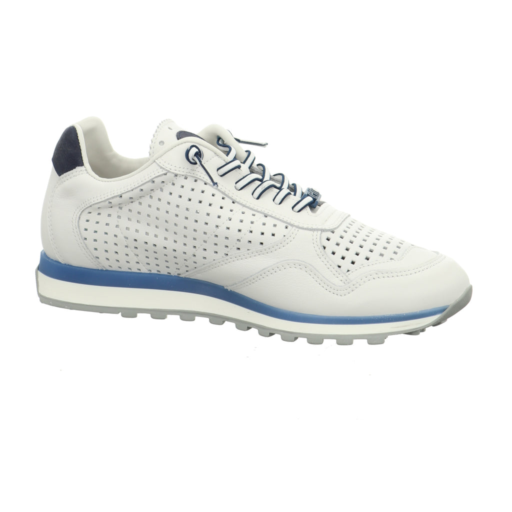 Cetti | C-848 V26-NATURE WHITE NAVY