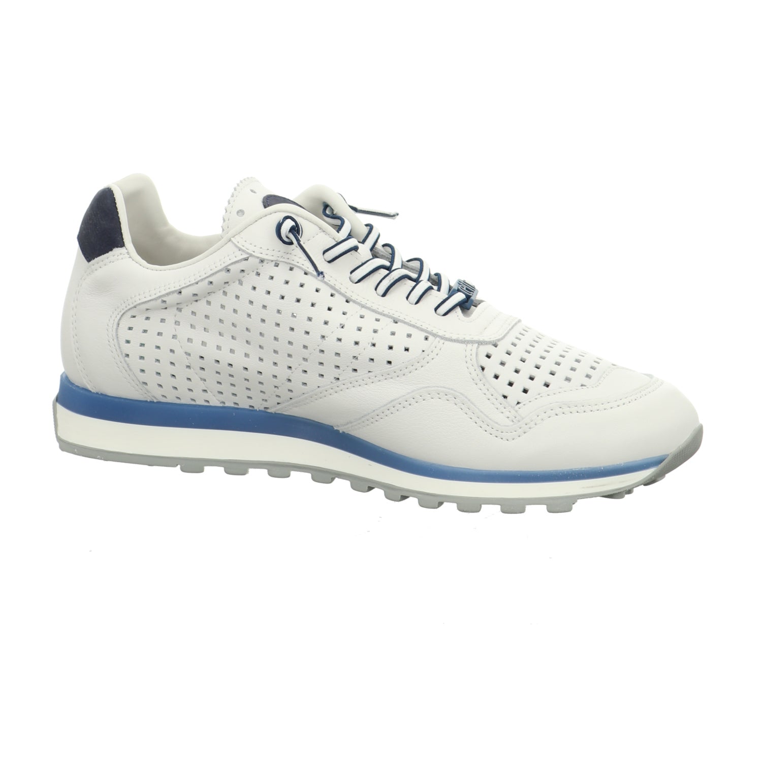 Cetti | C-848 V26-NATURE WHITE NAVY
