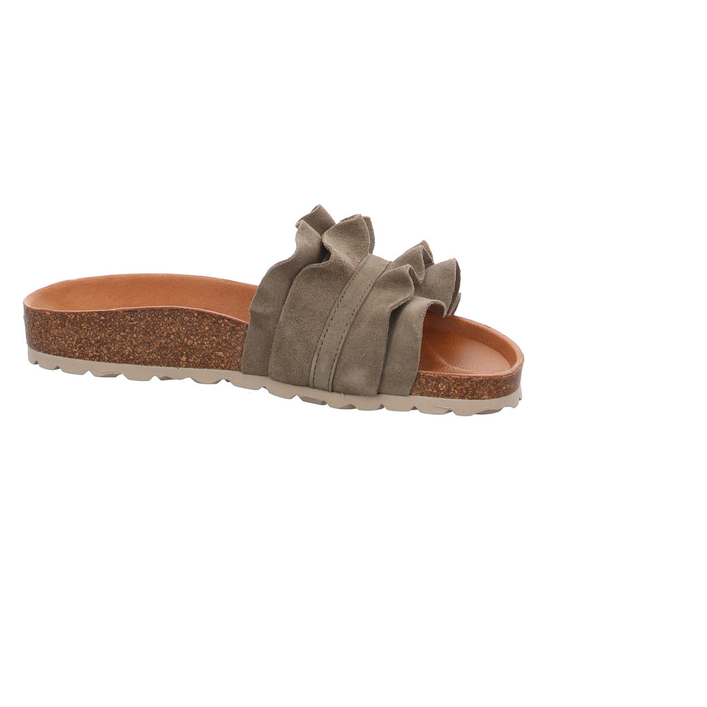 Verbenas | 330062V-0220-0915
