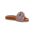 Verbenas | 330047V-0268-746