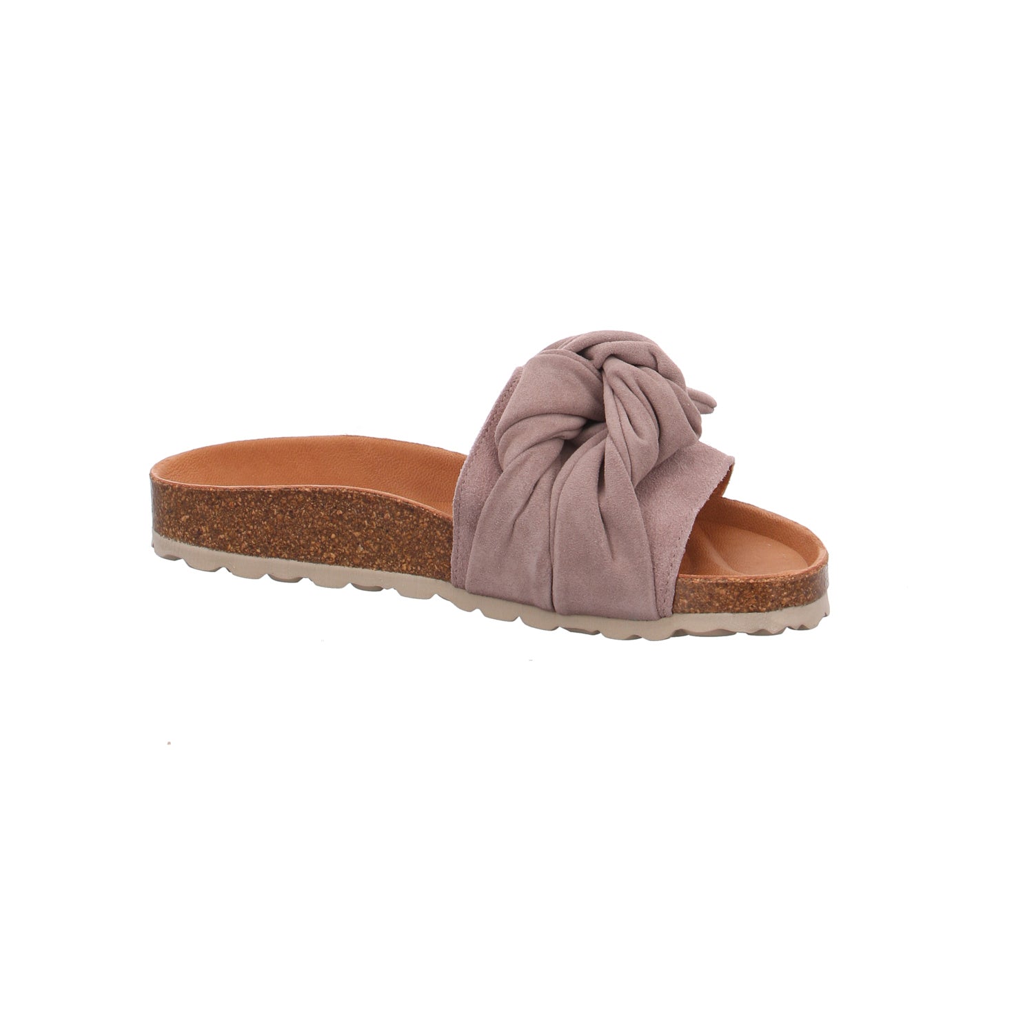 Verbenas | 330047V-0268-746
