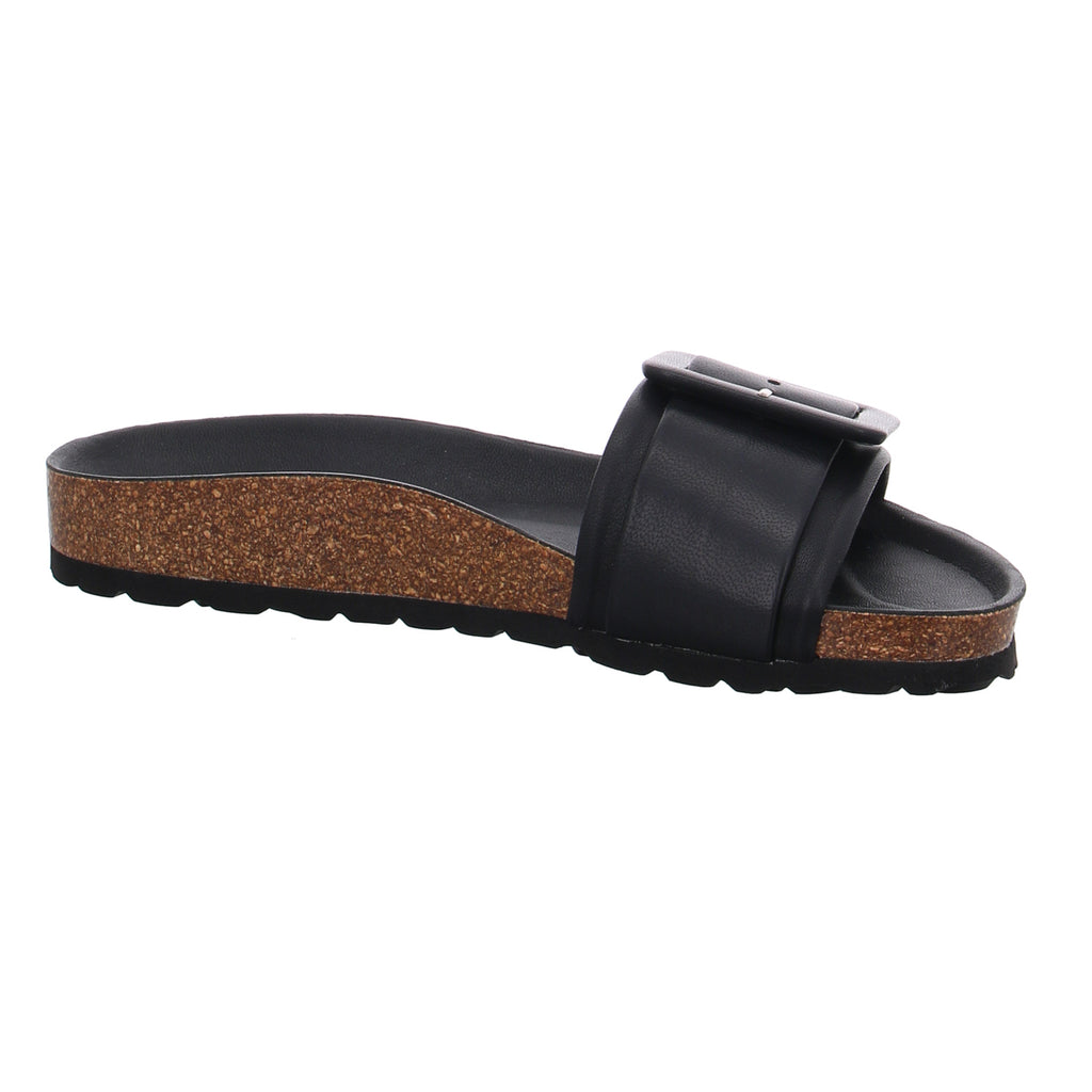 Verbenas | 330402V-0014-0042