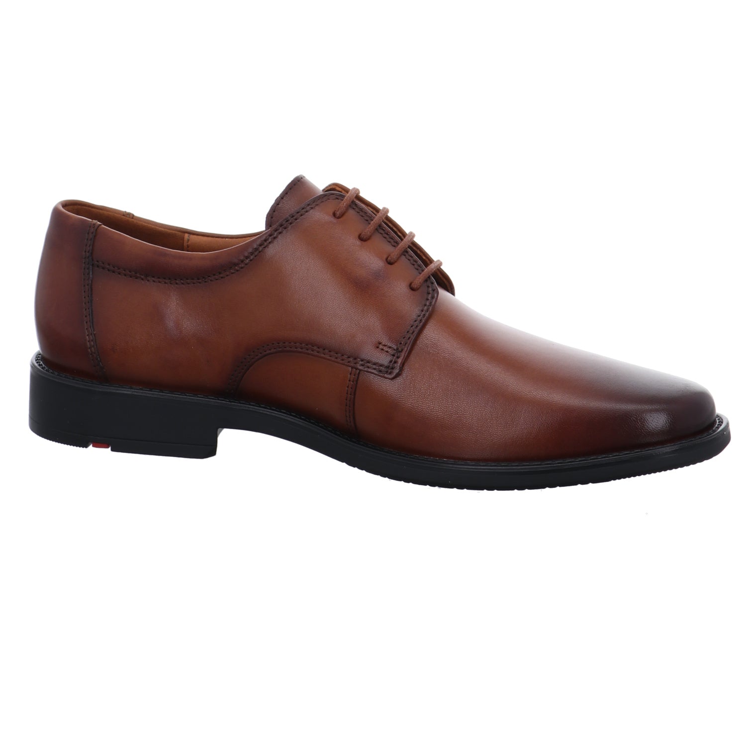 Lloyd | 2550403