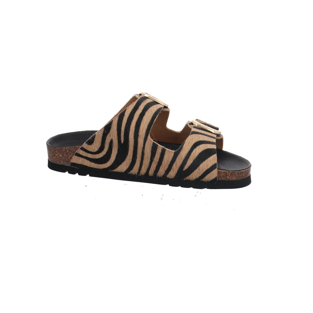 Scholl I F30067-2331