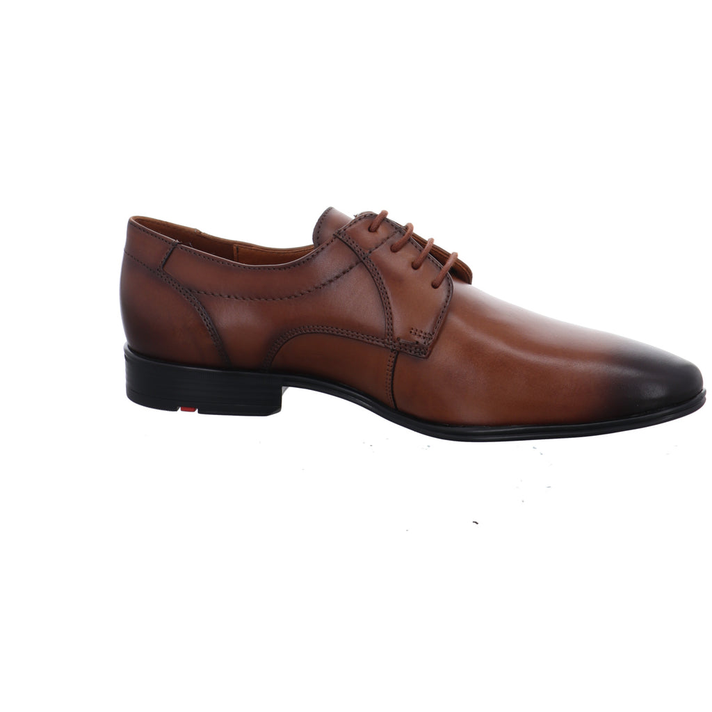Lloyd | 2550503
