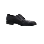 Lloyd | 2455800