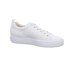 Paul Green I 5267-007