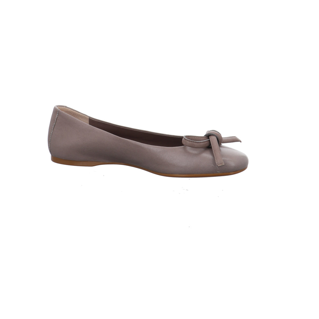 Caiman I C267-TORTORA