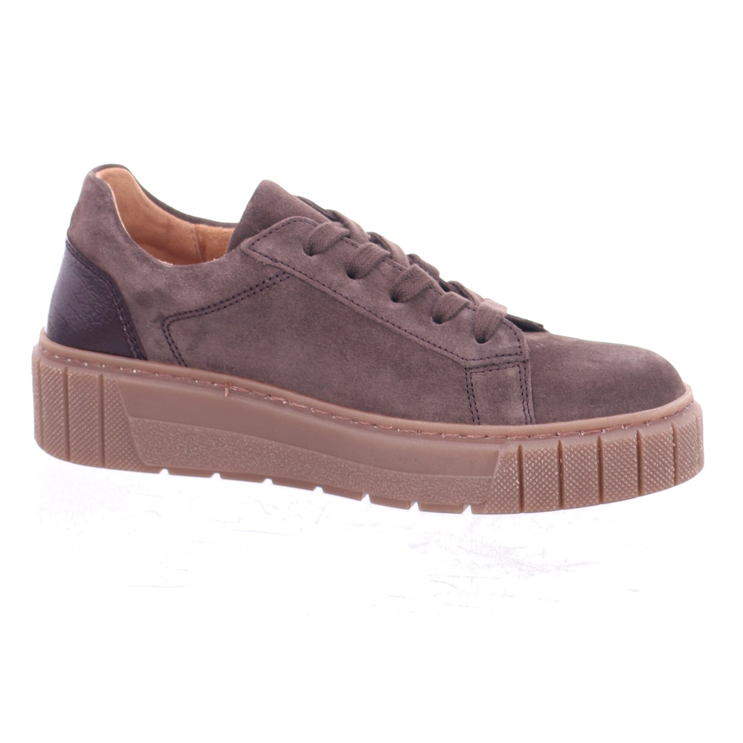 Gabor | 6017.03.005