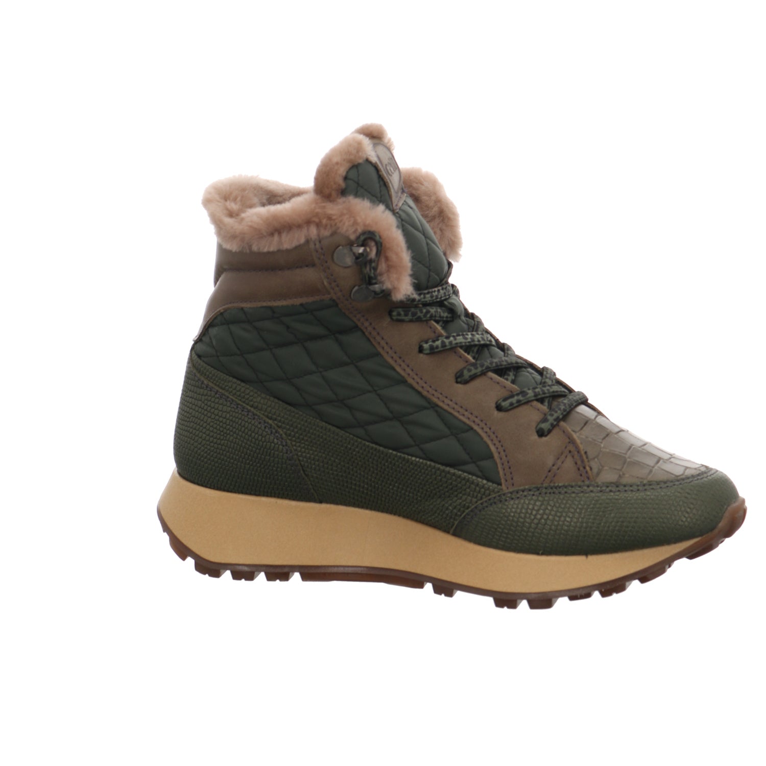 Cetti | C1229