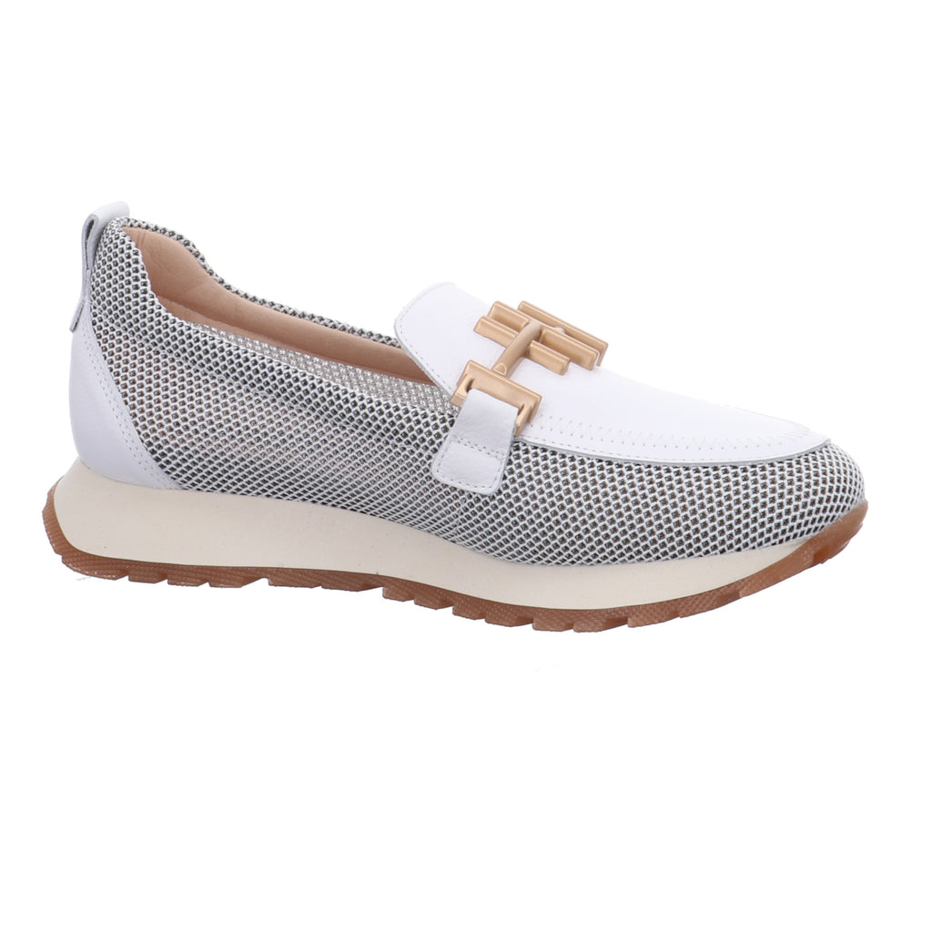 Hispanitas | HV253919-C012