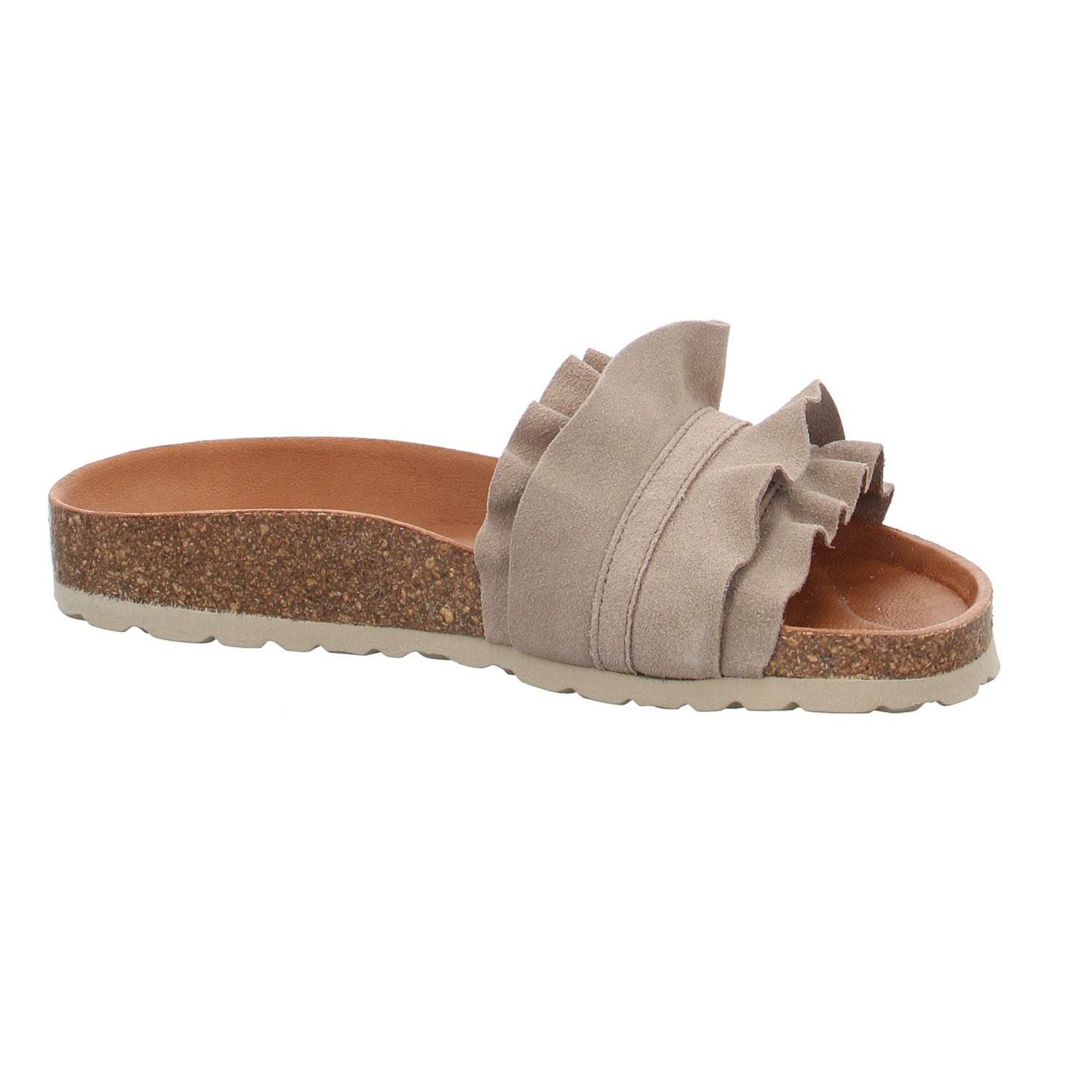 Verbenas | 330062V-0220-746