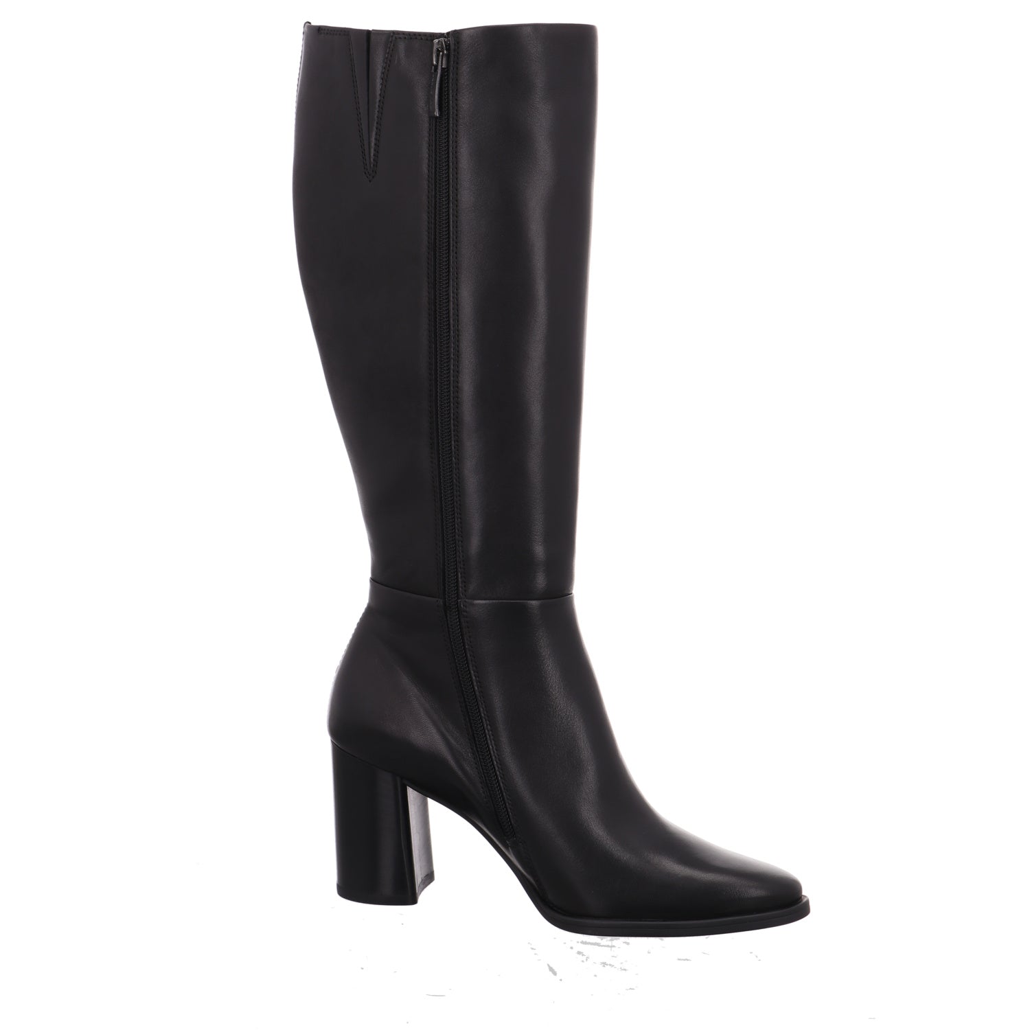 Paul Green | 8145-008