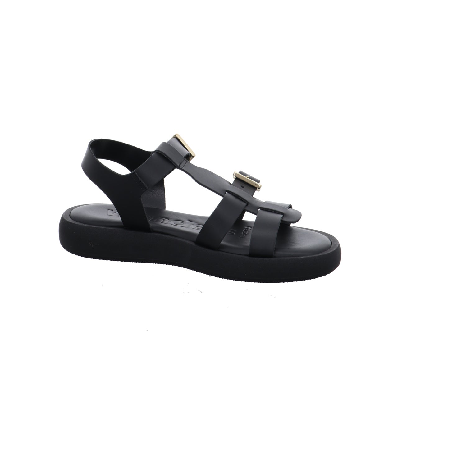 Wonders | AB-1012-NEGRO