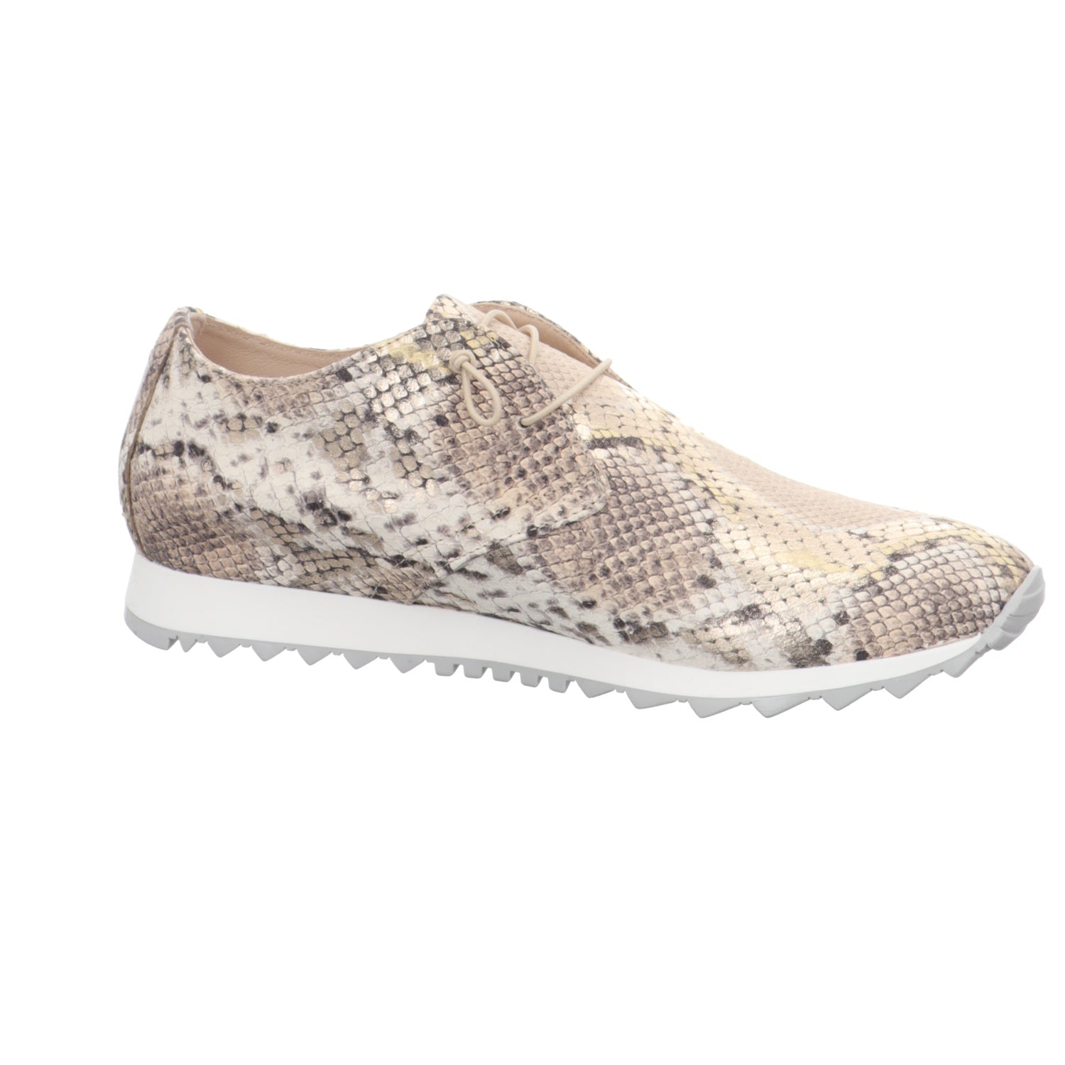 Donna Caroline | 41.763.089-014