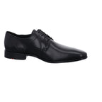 Lloyd | 2550500