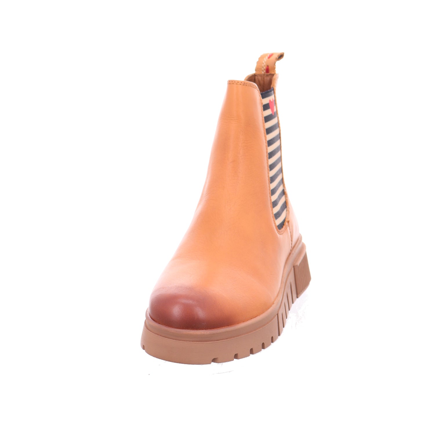 CRICKIT | Ninfa00569466