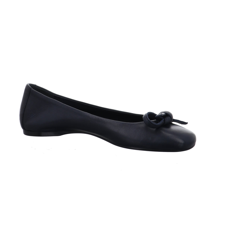 Caiman I C264-BLU